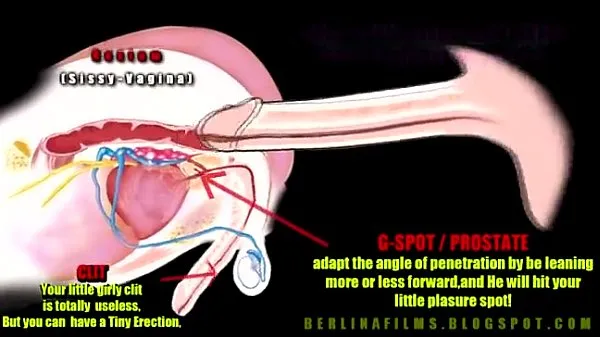 Big shemale anatomy best Videos