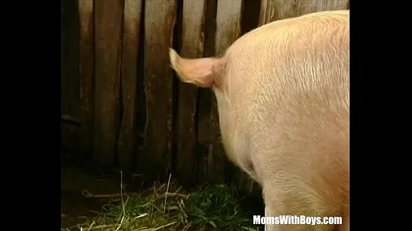 Big Brunette Lady Farmer Hairy Pussy Barn Fucked best Videos