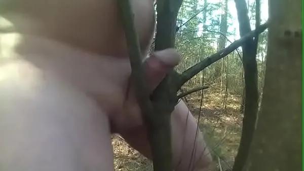 Big fuck tree deep forest best Videos